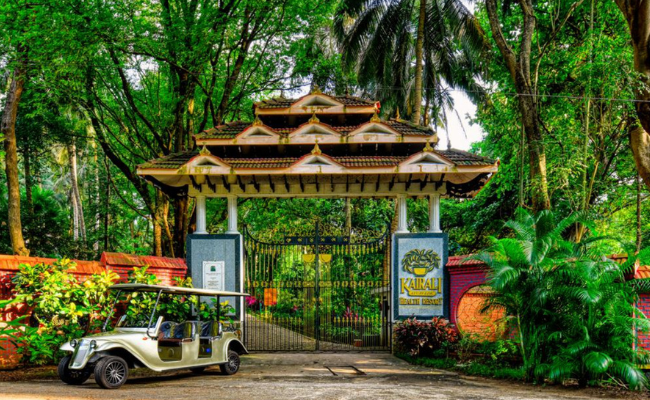 Kairali – The Ayurvedic Healing Village: A Sanctuary for Wellness