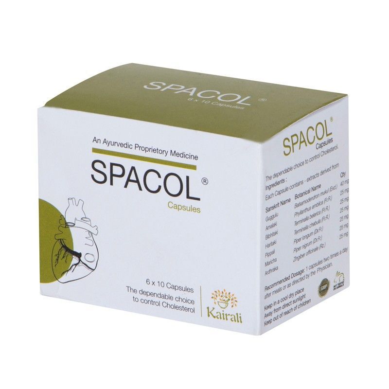 Best Ayurvedic Medicine for High Cholesterol - Natural Solution to Maintain Healthy Cholesterol - Kairali Ayurvedic Products