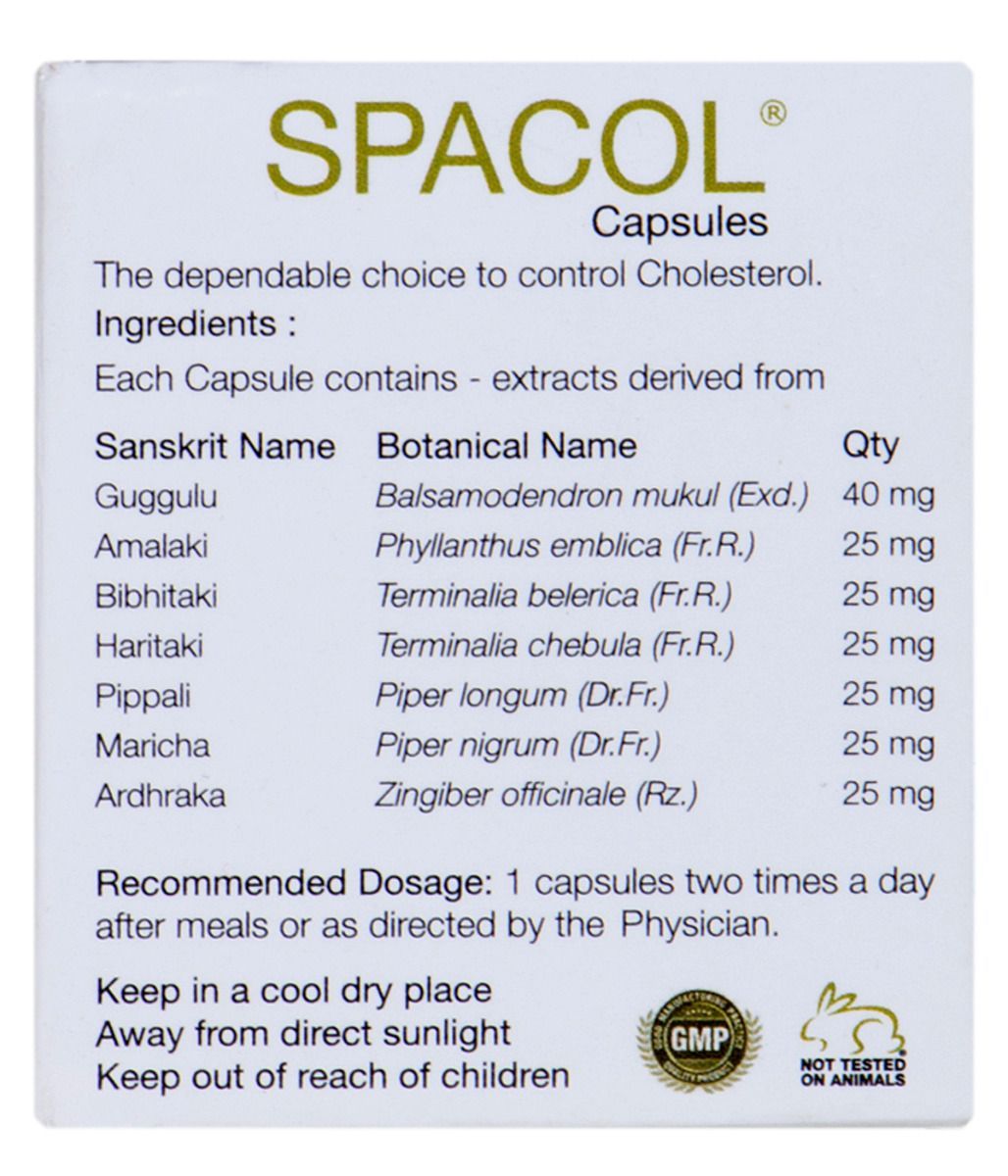 Best Ayurvedic Medicine for High Cholesterol - Natural Solution to Maintain Healthy Cholesterol - Kairali Ayurvedic Products