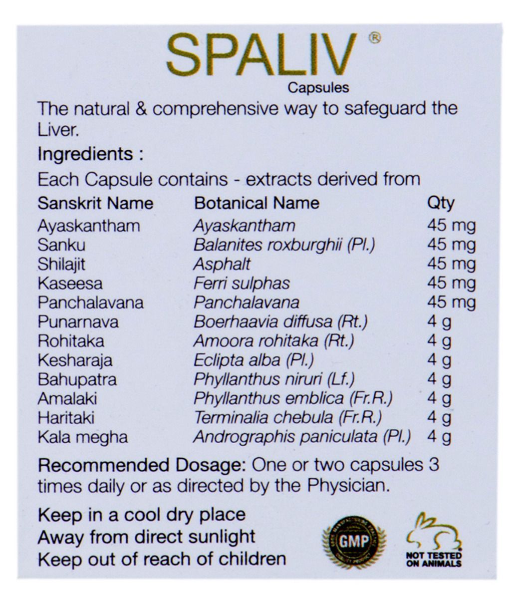 Best Ayurvedic Medicine for Liver Disease & Liver Protection - Restores Liver Naturally - Kairali Ayurvedic Products