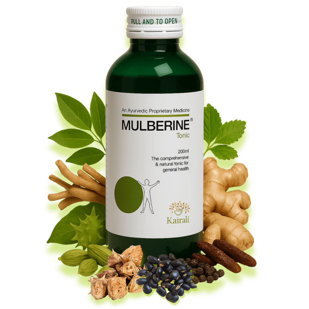 Mulberine Tonic — Ayurvedic Herbal Formulation, 200 ml, view 6