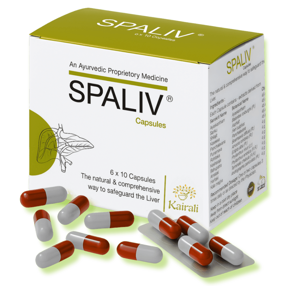 Spaliv Capsules — Ayurvedic Herbal Formulation, 60 capsules, view 6