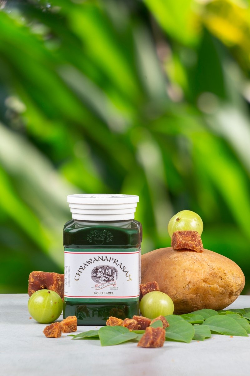 Chyawanaprasam — Classical Ayurvedic Lehyam, 500 g, view 4