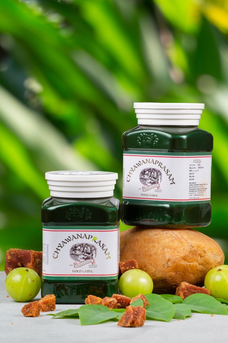 Chyawanaprasam — Classical Ayurvedic Lehyam, 500 g, view 5