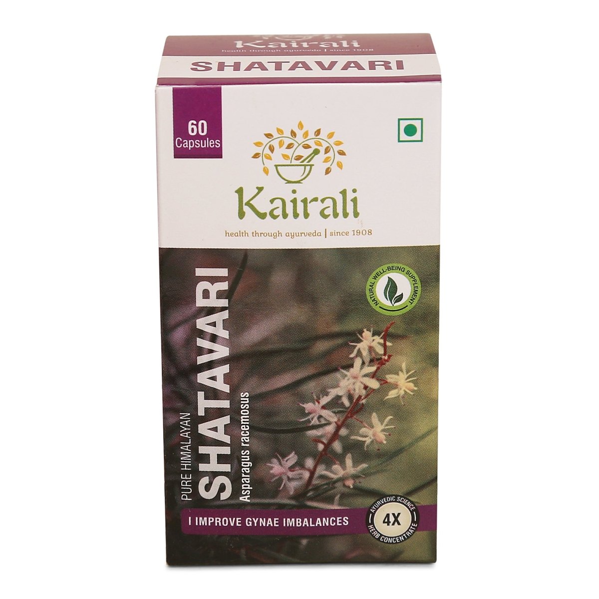 Shatavari – Herbal Health Supplement for Women - Kairali Ayurvedic Products Private Limited