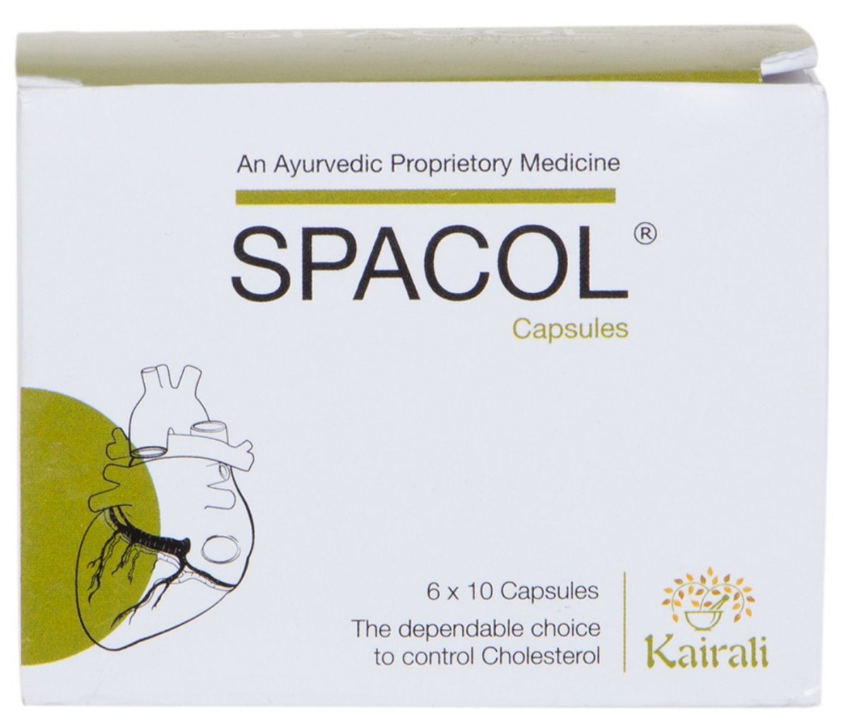Best Ayurvedic Medicine for High Cholesterol - Natural Solution to Maintain Healthy Cholesterol - Kairali Ayurvedic Products